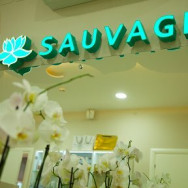 Салон красоты Sauvage на Barb.pro