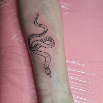 фото тату, , змея, , 